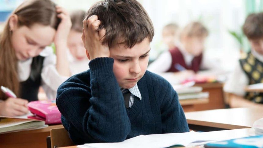 Elevii vor avea 2 ore pe saptamana pentru consolidarea cunostintelor