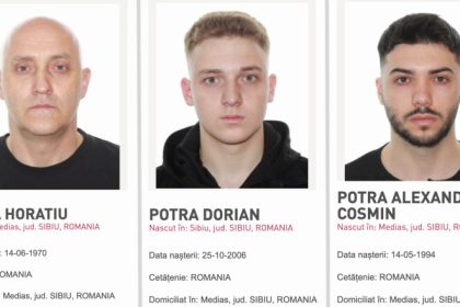 Emiratele Arabe Unite confirma Horatiu Potra arestat pentru extradare