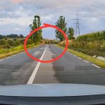 Exemplar de cerb surprins pe drumul Medias Agnita video