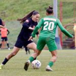 FC Hermannstadt a inceput bine noul sezon