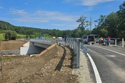 Investitie de 22 milioane lei poduri modernizate in Arpasu Bruiu si Sadu