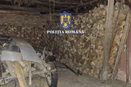 Mafia lemnului la Sibiu 8 retinuti 42 audiiati