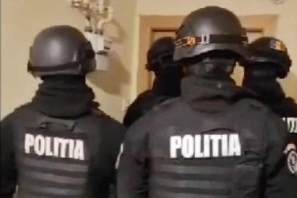 Mafia lemnului perchezitionata de mascati la Sibiu