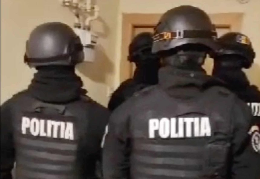 Mafia lemnului perchezitionata de mascati la Sibiu