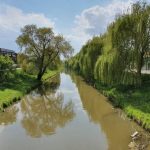 Mobilizare pentru curatirea si ecologizarea Cibinului