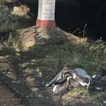Motociclistul ranit pe Transfagarasan a fost operat