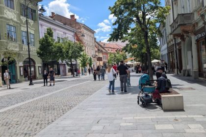 Sibienii nu mai fac copii natalitatea a scazut