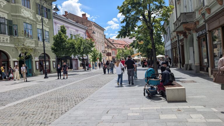 Sibienii nu mai fac copii natalitatea a scazut