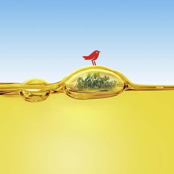 uleiul alimentar uzat devine biocombustibil in comunitate