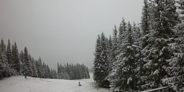 Alerte meteorologica Ninsori puternice in Sibiu