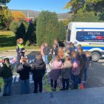 De la joaca la siguranta lecii interactive de educatie rutiera pentru elevi