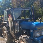 Doi barbati prinsi cu lemne furate in padure