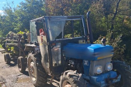 Doi barbati prinsi cu lemne furate in padure
