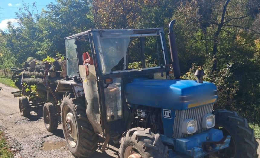 Doi barbati prinsi cu lemne furate in padure