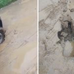 Drumuri ca dupa razboi in Prislop oamenii nu ies din curti