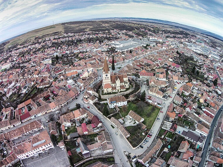 Fugar prins in Germania reinut pentru furturi