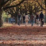 Noiembrie aduce surprize temperaturi superioare mediei si ploi rare