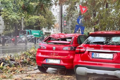 Pagube masive dupa furtuni case inundate si copaci cazuti
