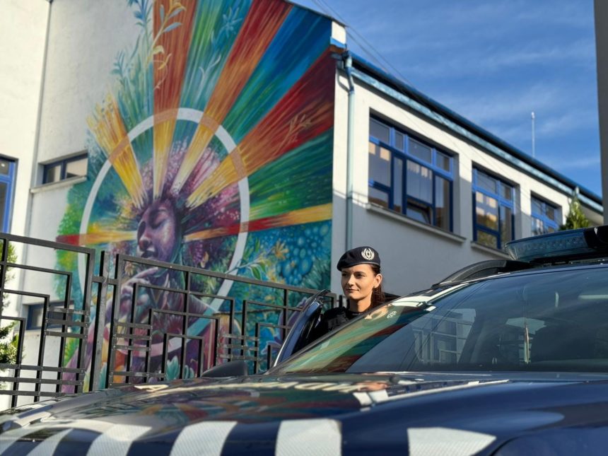 Premierul Bolojan propune jandarmi pentru patrulare institutii