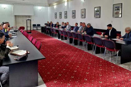 Problemele din Paltinis discutate la Prefectura