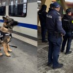 RazadeamploareinGaraSibiu verificari cucaini amenzi