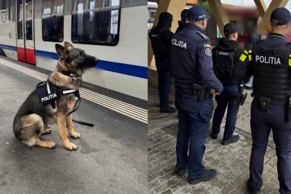 RazadeamploareinGaraSibiu verificari cucaini amenzi
