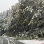 Se circula in conditii de iarna la Paltinis