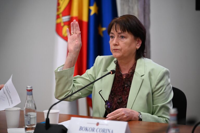 Solicitarea consilierilor P S D Sibiu pentru locul de joaca