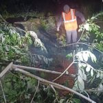 Tanarul a fost externat dupa ce un copac a cazut pe masina sa