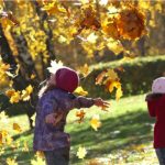 Toamna prelungita si ploi putine pana in decembrie