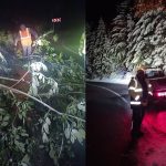 Zapada a doborat copaci pe drumul spre Paltinis