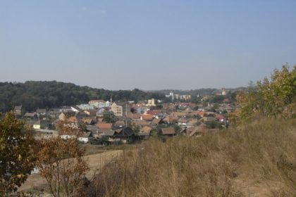 incident la ocna sibiului barbat hartuiete mama desi interzis