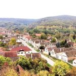 Agresorul din Amnas a fost eliberat din arest