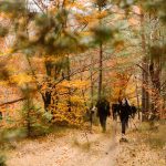 Anii Drumeiei te invit la Ael natur i bunti