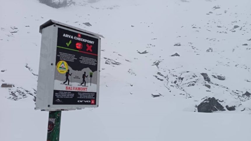 Balea Lac avans in tehnologie punct de verificare detectoare avalanse