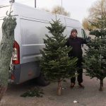 Brazii de Craciun ajung in piata din Sibiu