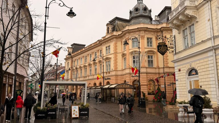 Concedieri masive la Sibiu doua firme IT au concediat angajati