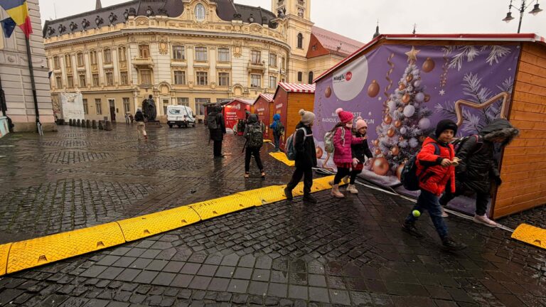 Consiliera locala se plange de cabluri la Targul de Craciun