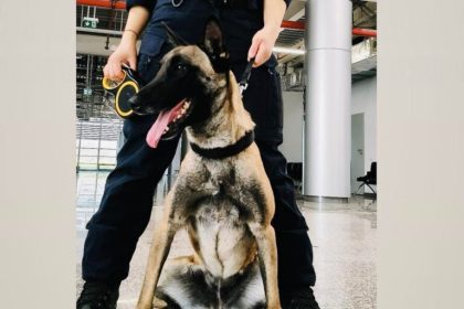 Kira noua vedeta a Centrului Chinologic Sibiu