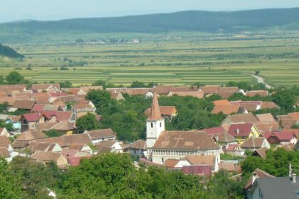 Rafuiala in Poplaca satean retinut dupa lovirea ciobanului