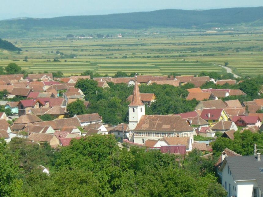 Rafuiala in Poplaca satean retinut dupa lovirea ciobanului