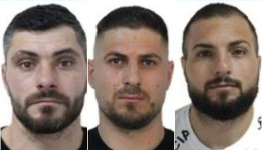 Stirea zilei Doi ucigasi ai lui Adrian Kreiner condamnati pe viata