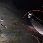 Braconaj pe Olt in iarna Credem ca localnicii au pus plasa