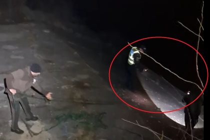 Braconaj pe Olt in iarna Credem ca localnicii au pus plasa