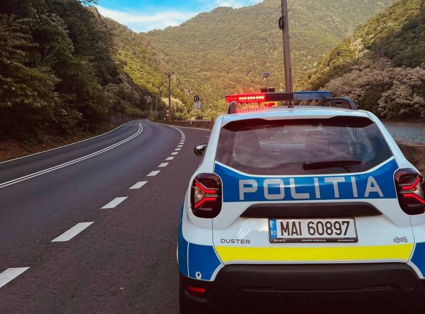 Cozile de pe Valea Oltului s au terminat mai devreme