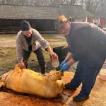 Ignatul surprize la Muzeul ASTRA pentru vizitatori