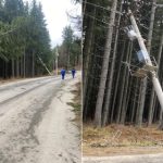 Noapte de cosmar in Paltinis brazi prabusiti peste tot