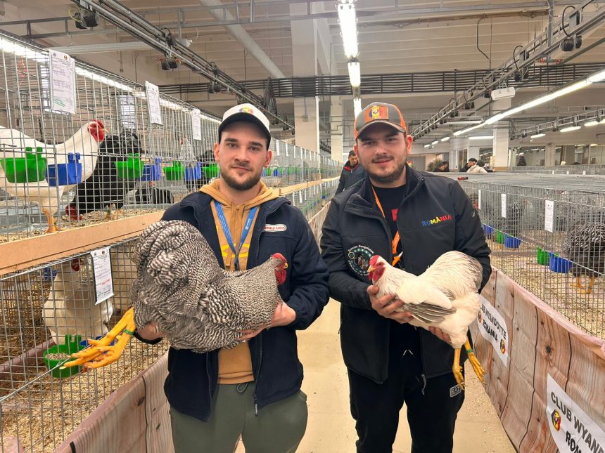 Peste 1000 de animale de rasa expuse la Sibiu