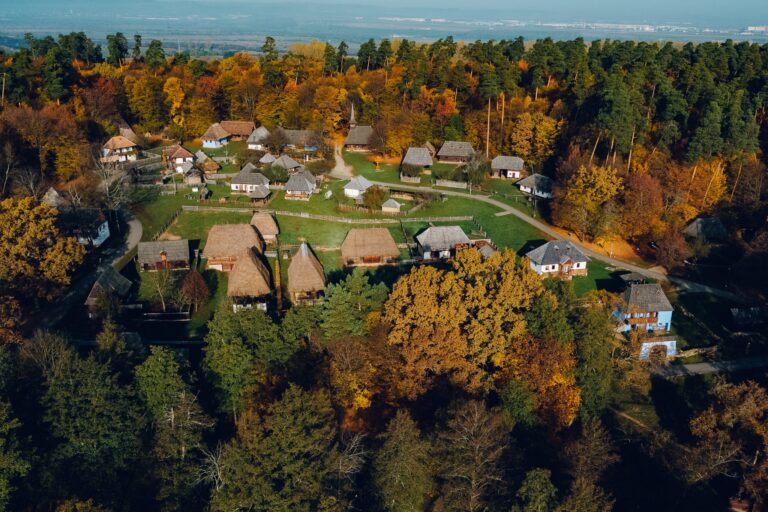 Program special de Sarbatori la Muzeul ASTRA