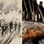 Traditia tapinarilor arta ritualica la Sadu